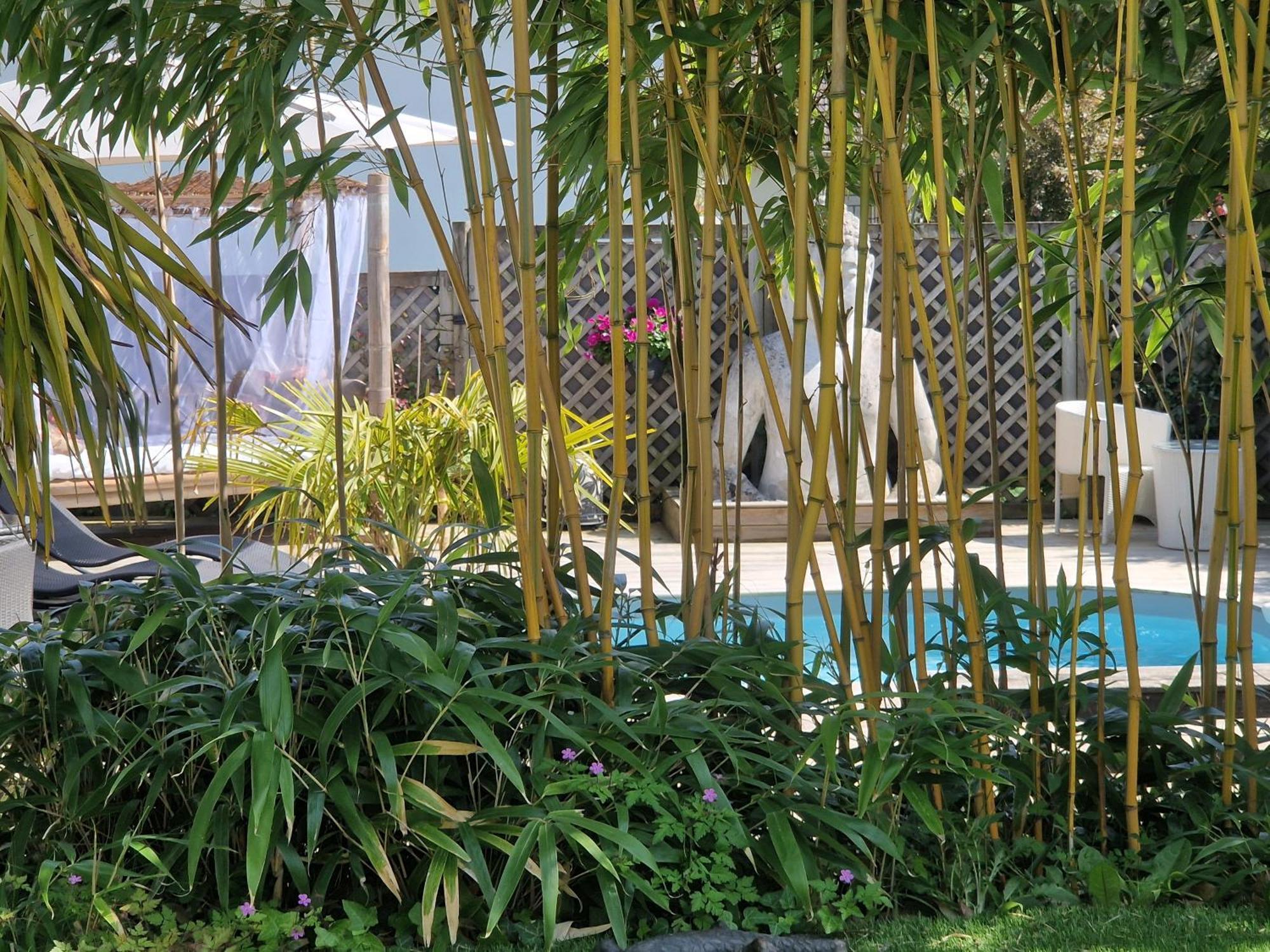 La Serenite Balinaise, Chambre Et Sdb Privee, Jardin , Piscine Et Jacuzzi En Saison, Pres De Chantilly, Parc Asterix Et Cdg Et Paris En 20' Orry-La-Ville Kültér fotó